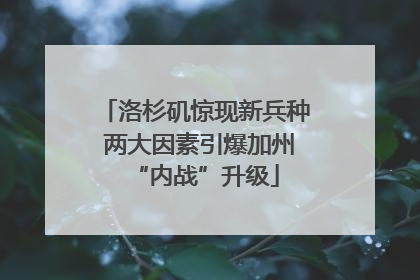洛杉矶惊现新兵种 两大因素引爆加州“内战”升级