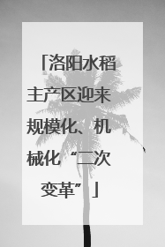 洛阳水稻主产区迎来规模化、机械化“二次变革”