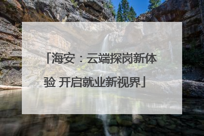 海安：云端探岗新体验 开启就业新视界