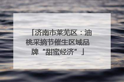 济南市莱芜区：油桃采摘节催生区域品牌“甜蜜经济”