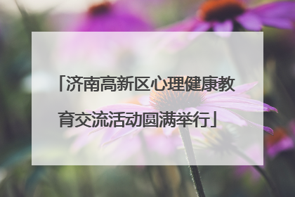 济南高新区心理健康教育交流活动圆满举行