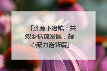 济源下冶镇：共叙乡情谋发展，凝心聚力谱新篇