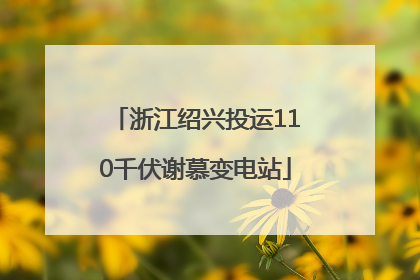 浙江绍兴投运110千伏谢慕变电站