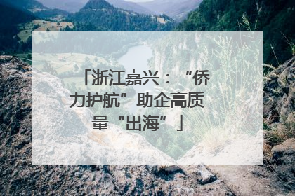 浙江嘉兴：“侨力护航”助企高质量“出海”