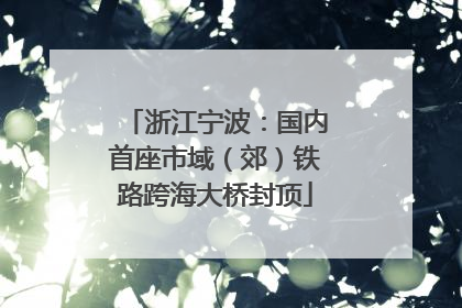 浙江宁波：国内首座市域（郊）铁路跨海大桥封顶