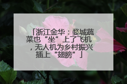 浙江金华：婺城蔬菜也“坐”上了飞机，无人机为乡村振兴插上“翅膀”