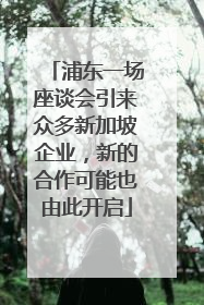浦东一场座谈会引来众多新加坡企业，新的合作可能也由此开启
