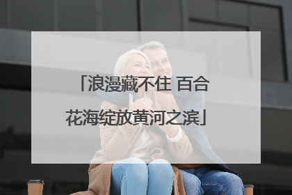 浪漫藏不住 百合花海绽放黄河之滨