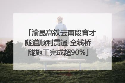 渝昆高铁云南段育才隧道顺利贯通 全线桥隧施工完成超90%