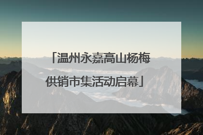 温州永嘉高山杨梅供销市集活动启幕