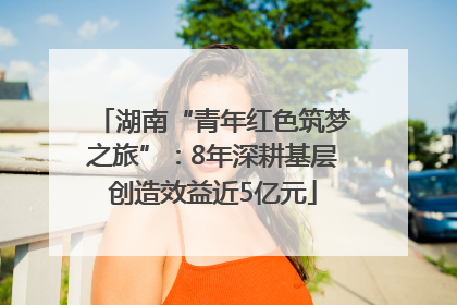 湖南“青年红色筑梦之旅”：8年深耕基层创造效益近5亿元