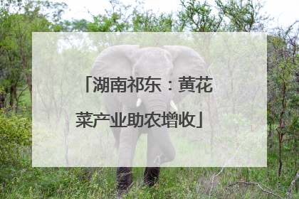 湖南祁东：黄花菜产业助农增收