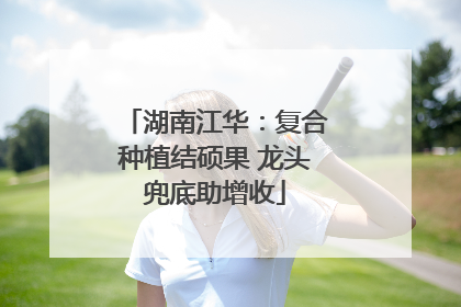 湖南江华：复合种植结硕果 龙头兜底助增收