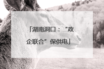 湖南洞口：“政企联合”保供电