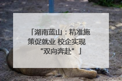 湖南蓝山：精准施策促就业 校企实现“双向奔赴”