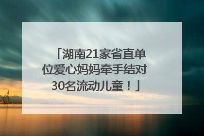 湖南21家省直单位爱心妈妈牵手结对30名流动儿童！