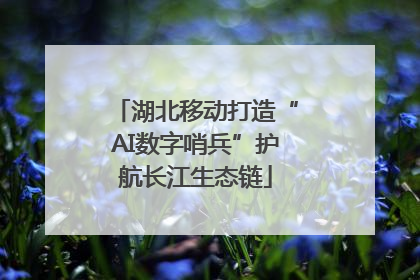 湖北移动打造“AI数字哨兵”护航长江生态链