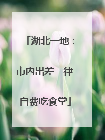 湖北一地：市内出差一律自费吃食堂