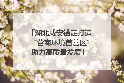 湖北咸安锚定打造“营商环境首善区”助力高质量发展