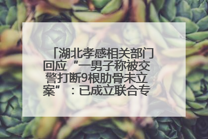 湖北孝感相关部门回应“一男子称被交警打断9根肋骨未立案”：已成立联合专班开展工作