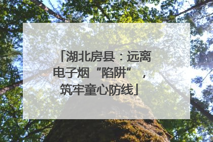 湖北房县：远离电子烟“陷阱”，筑牢童心防线