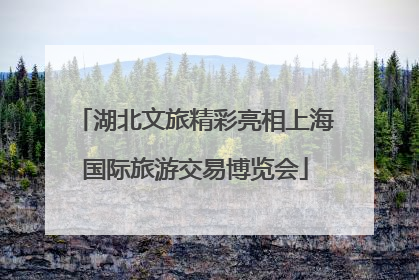 湖北文旅精彩亮相上海国际旅游交易博览会