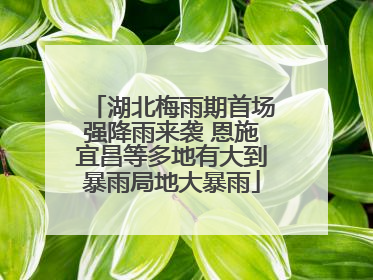 湖北梅雨期首场强降雨来袭 恩施宜昌等多地有大到暴雨局地大暴雨