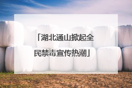 湖北通山掀起全民禁毒宣传热潮