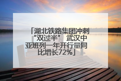 湖北铁路集团冲刺“双过半” 武汉中亚班列一年开行量同比增长72%