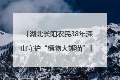 湖北长阳农民38年深山守护“植物大熊猫”