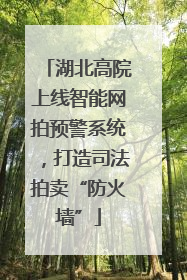 湖北高院上线智能网拍预警系统，打造司法拍卖“防火墙”