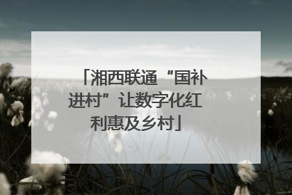 湘西联通“国补进村”让数字化红利惠及乡村
