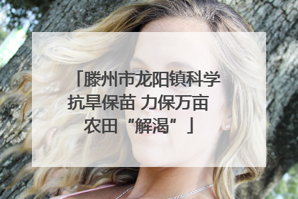 滕州市龙阳镇科学抗旱保苗 力保万亩农田“解渴”
