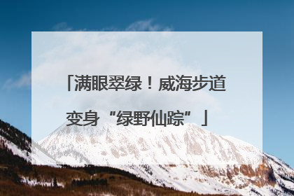 满眼翠绿！威海步道变身“绿野仙踪”