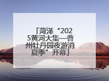菏泽“2025黄河大集—曹州牡丹园夜游消夏季”开幕