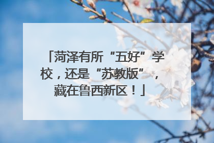 菏泽有所“五好”学校，还是“苏教版”，藏在鲁西新区！