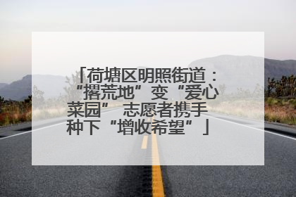 荷塘区明照街道：“撂荒地”变“爱心菜园” 志愿者携手种下“增收希望”