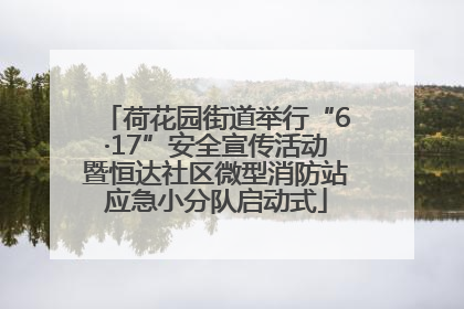 荷花园街道举行“6·17”安全宣传活动暨恒达社区微型消防站应急小分队启动式
