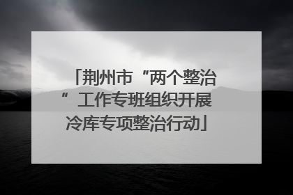 荆州市“两个整治”工作专班组织开展冷库专项整治行动