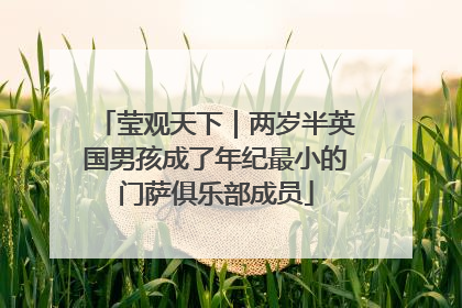 莹观天下｜两岁半英国男孩成了年纪最小的门萨俱乐部成员