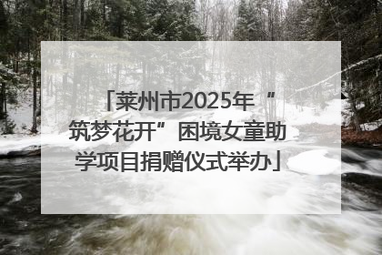 莱州市2025年“筑梦花开”困境女童助学项目捐赠仪式举办