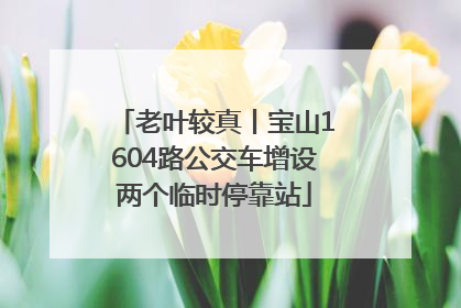 老叶较真丨宝山1604路公交车增设两个临时停靠站