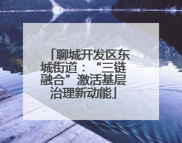 聊城开发区东城街道：“三链融合”激活基层治理新动能