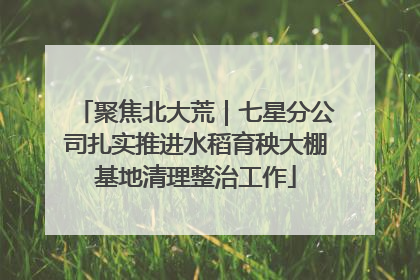 聚焦北大荒｜七星分公司扎实推进水稻育秧大棚基地清理整治工作