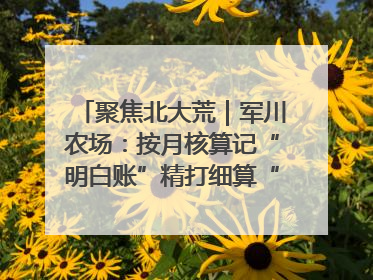 聚焦北大荒｜军川农场：按月核算记“明白账”精打细算“过紧日子”