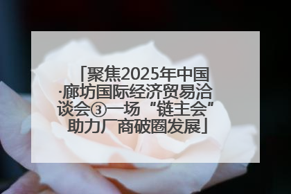 聚焦2025年中国·廊坊国际经济贸易洽谈会③一场“链主会” 助力厂商破圈发展