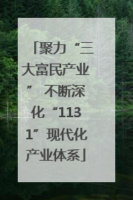 聚力“三大富民产业” 不断深化“1131”现代化产业体系