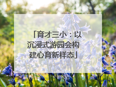 育才三小：以沉浸式游园会构建心育新样态