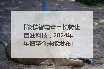 能链智电董事长转让团油科技，2024年年报至今未能发布