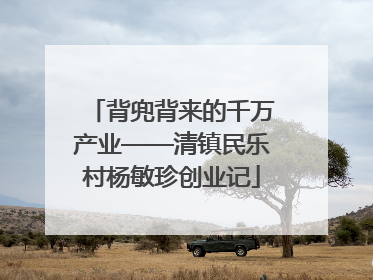 背兜背来的千万产业——清镇民乐村杨敏珍创业记